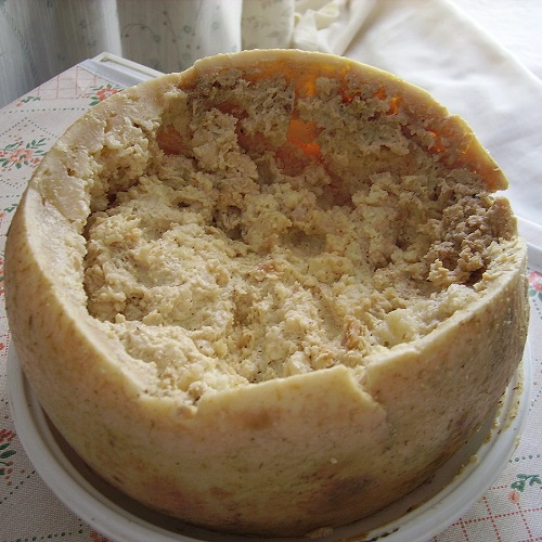 Casu marzu