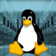 Best Linux Servers